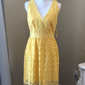 🆕 NWT Laundry Eyelet Dress